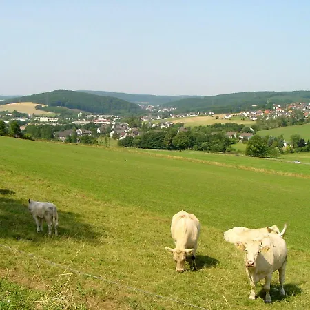 Panorama * エスローエ